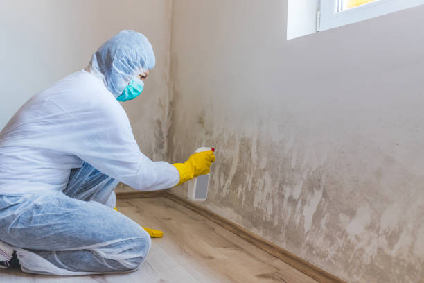 Mold Remediation specialist working in Fort Belvoir